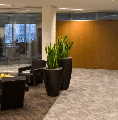 راهکارهای نظارتی و امنیتی برای ادارات دولتی و سازمان‌های عمومی